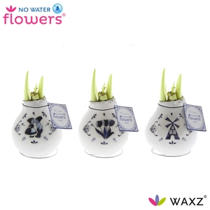 arr4 Amaryllis VH - Delfts blauw