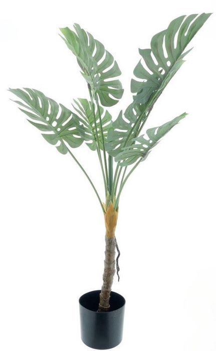 <h4>Monstera plant in pot green 90cm</h4>