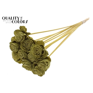 Shola Beauty Rose 6cm on stem Olive