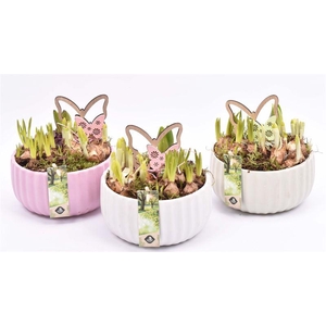 Keramiek schaal kleur mix 16,5cm