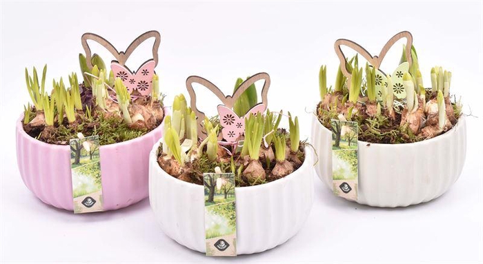 <h4>Keramiek schaal kleur mix 16,5cm</h4>