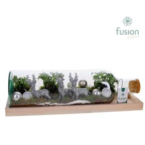 Green Bottle Fles Large liggend Kerst met Arrangement met LED