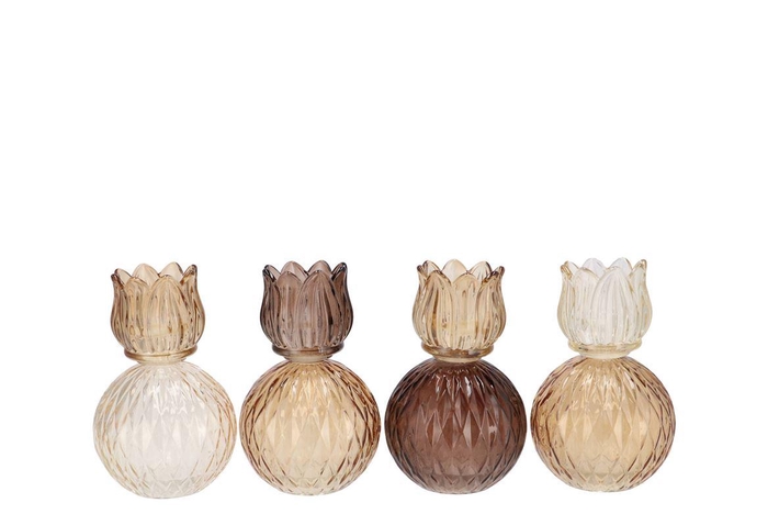 <h4>Bicolore Natural Brown Mix Tulip T-light Ass 11x17cm</h4>