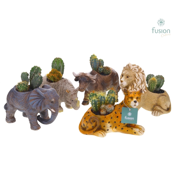 Dieren Big 5 keramiek Medium met Cactussen