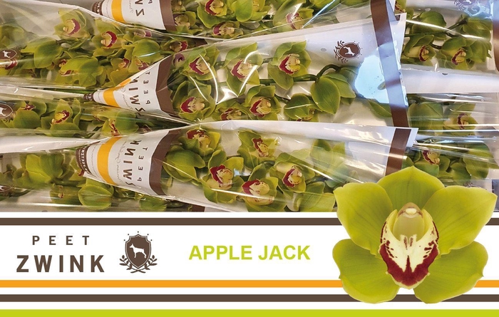 <h4>CYMB T APPLE JACK</h4>