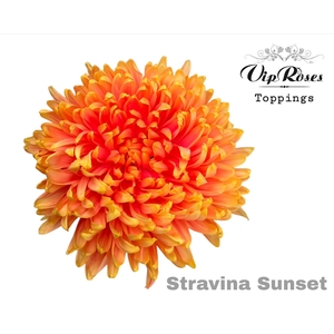 Chr G Stravina Sunset