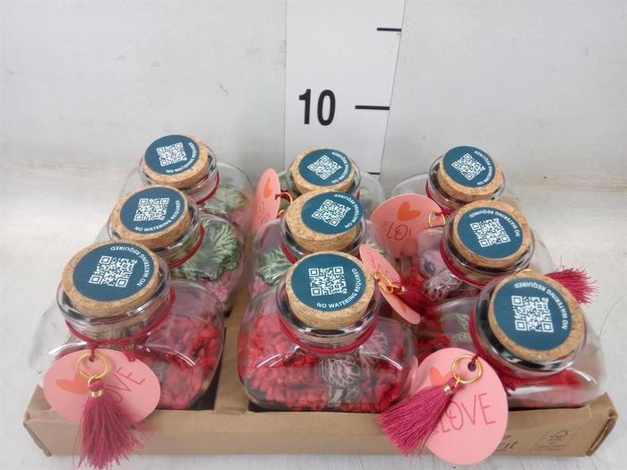 <h4>Arr.    Planten  L%</h4>