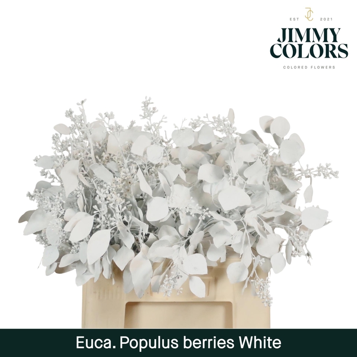 <h4>Pop bes per bos 200g White</h4>