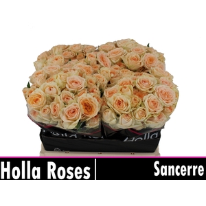 R Tr Sancerre