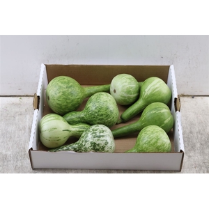 Sier Cuc P Kalabas Fles Groen X8