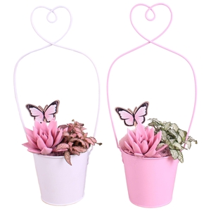 Mothersday Arr. Succulent Zinc Framepot with Heart Ø17cm 2PP