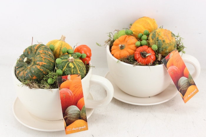 <h4>arr4 Sierfruit MB - Kop en schotel</h4>