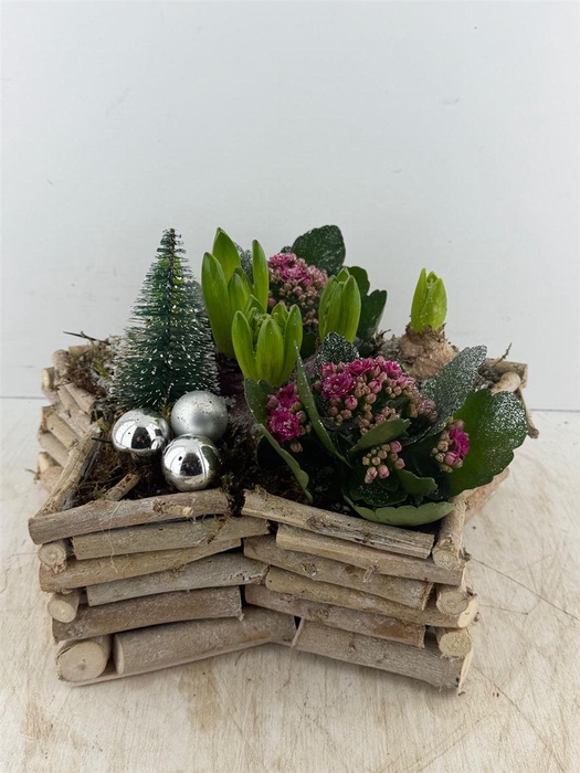 <h4>Arr (16) Ster hout</h4>