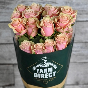 R Gr Pink Amaretto