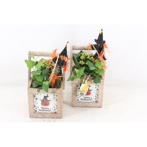 arr2 JS - Hengselkistje kl. 201/6