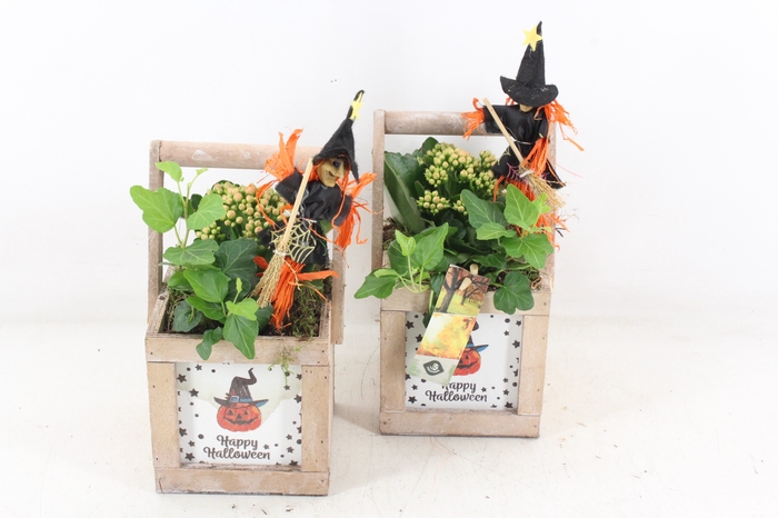 <h4>arr2 JS - Hengselkistje kl. 201/6</h4>