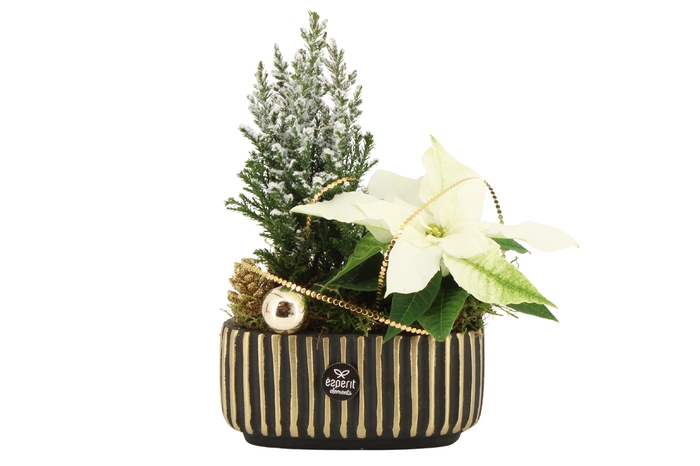 <h4>61417: X-mas arrangement</h4>