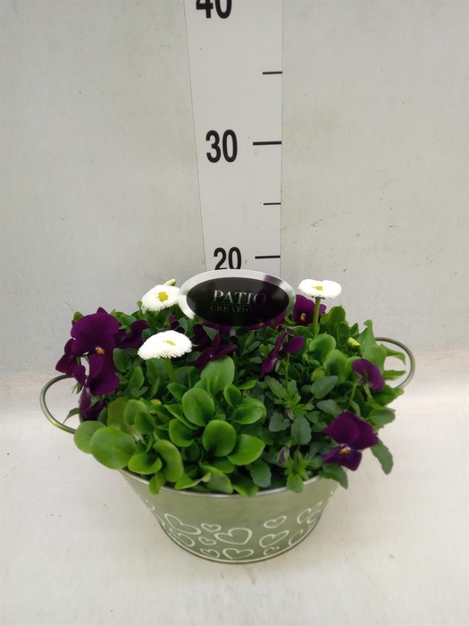 <h4>Arr. Perkplanten L%</h4>