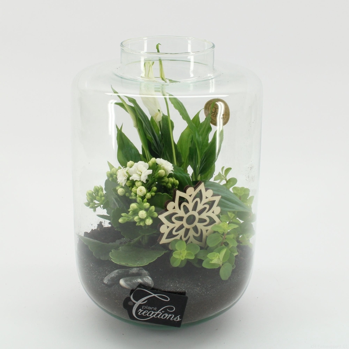 <h4>Opm ESCR-2533W Essentials Terrarium</h4>