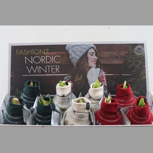 Wax Hipp Nordic Mix