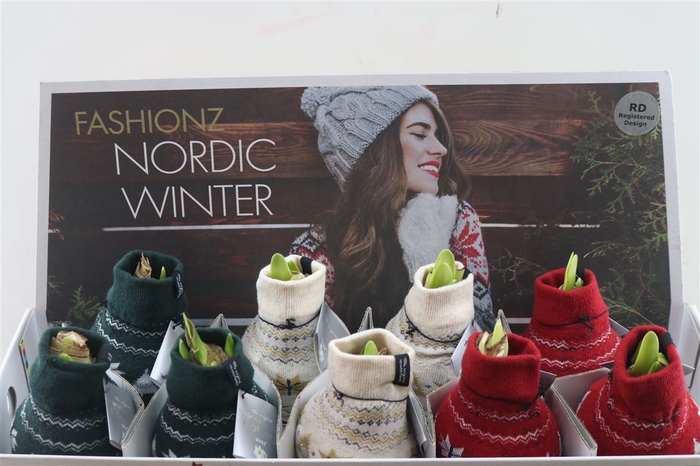 <h4>Wax Hipp Nordic Mix</h4>