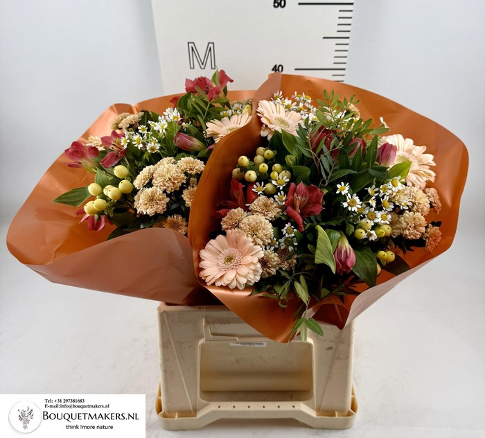 <h4>GEM BOEKET OV</h4>