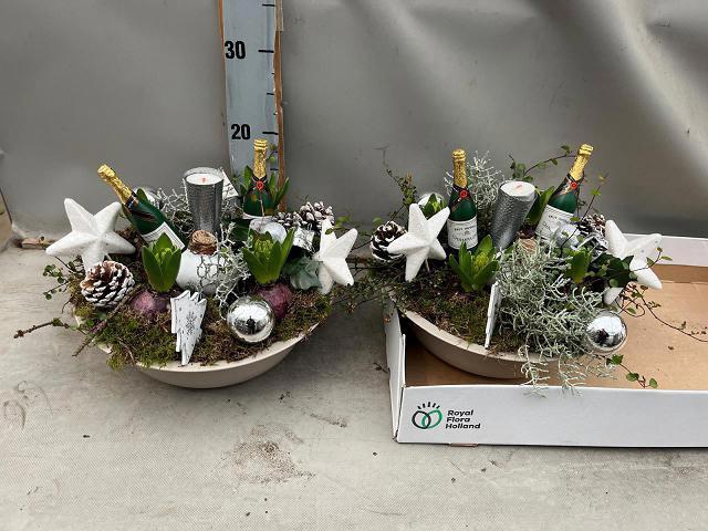 <h4>ARR BOL KNOLGEWAS</h4>