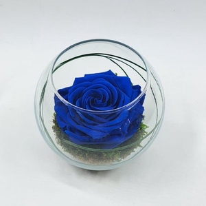 Bolvaas d12cm blauw glas