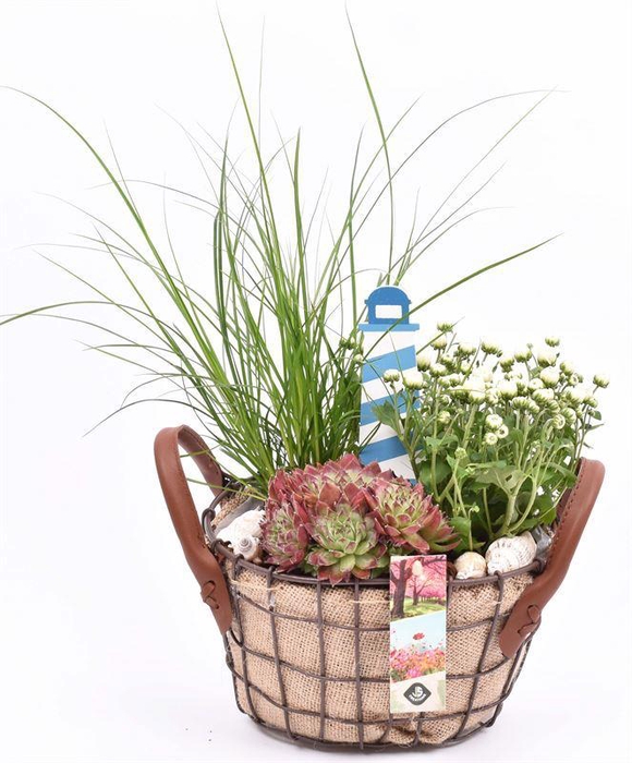 <h4>Gaasmand met jute 21x15.5cm</h4>