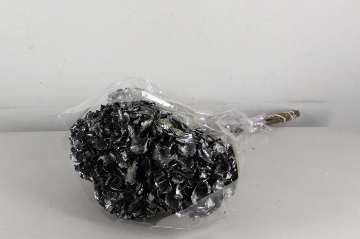 <h4>DF Hydrangea Metallic Black</h4>