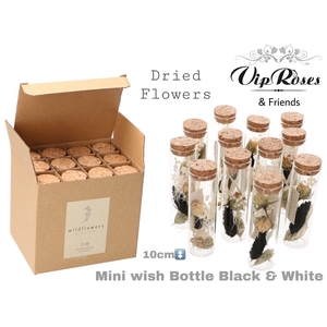 DRIED MINI WISH BLACK & WHITE
