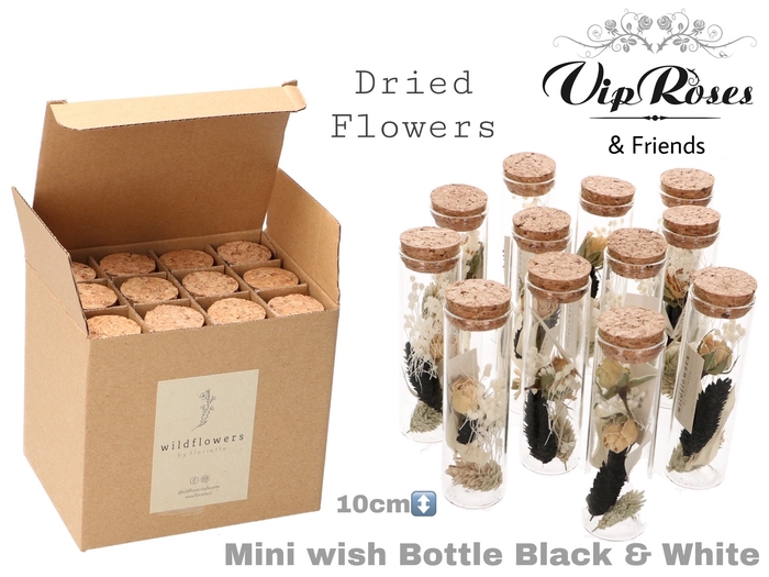DRIED MINI WISH BLACK & WHITE