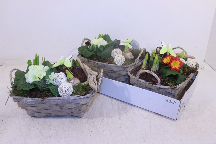 <h4>ARR TUINPLANTEN</h4>