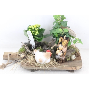 arr2 MB - Snijplank kal. hed.