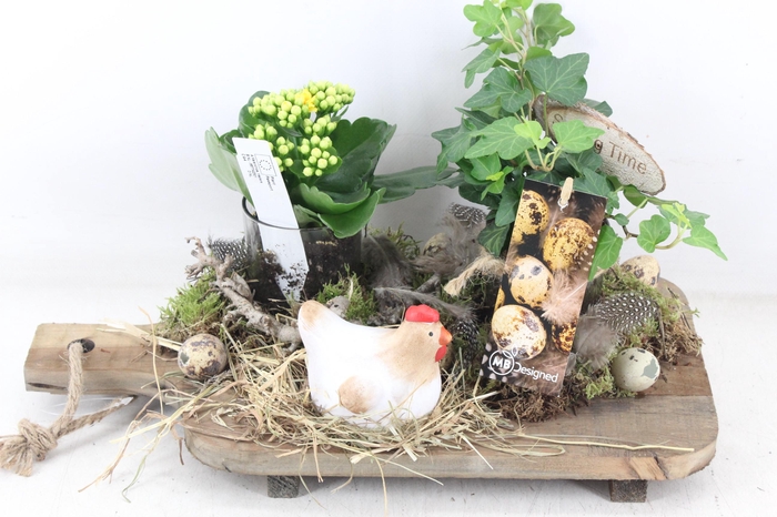 <h4>arr2 MB - Snijplank kal. hed.</h4>