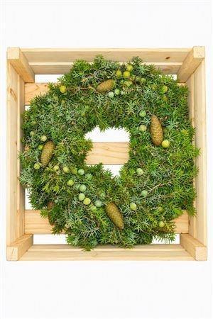 <h4>SIERFRUIT KRANS H%</h4>