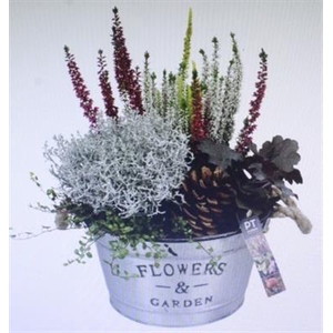 4068 FLOWERS GARDEN BT