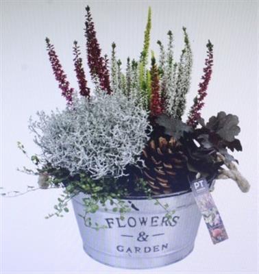 <h4>4068 FLOWERS GARDEN BT</h4>