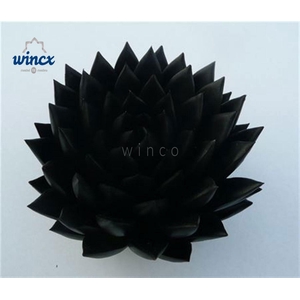 Echeveria Agavoides Paint Black Cutflower