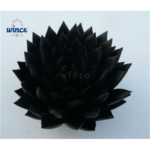 Echeveria Agavoides Paint Black Cutflower