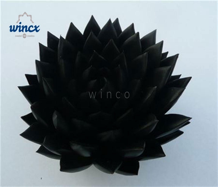 <h4>Echeveria Agavoides Paint Black Cutflower</h4>