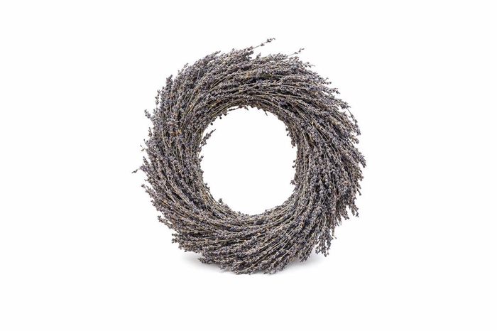 <h4>Wr Dried Lavendel 30cm</h4>