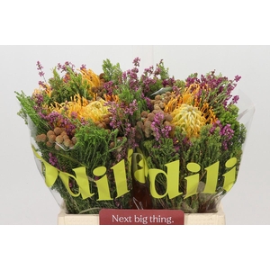 BQ Nutans 2 Flower