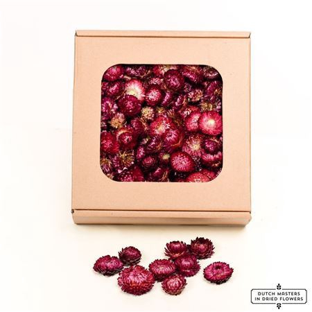 Dried Helichrysum Heads Violet Box