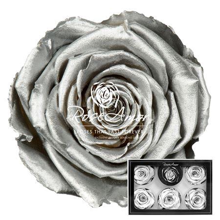 Xl Metallic Silver