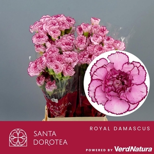 DI ST Royal Damascus SEL