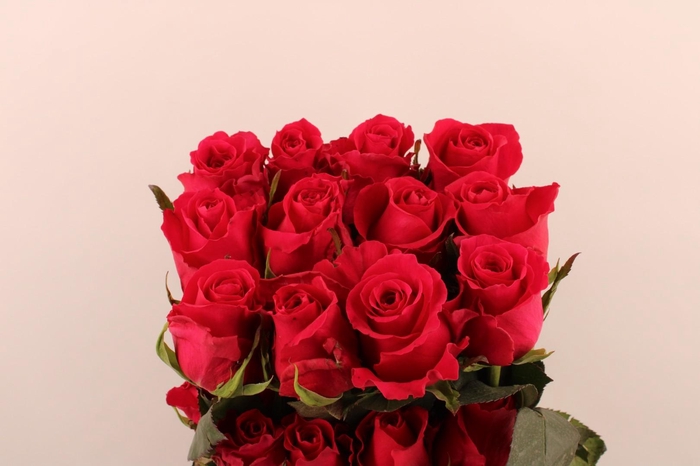 <h4>R Gr Gotcha</h4>