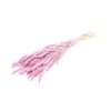 Bunch Setaria Slv L75 150g