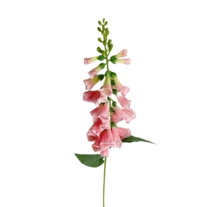 Artificial flowers Digitalis purpurea 78cm