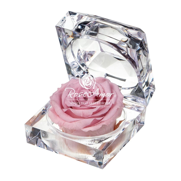 <h4>Display Jewel Pin04</h4>